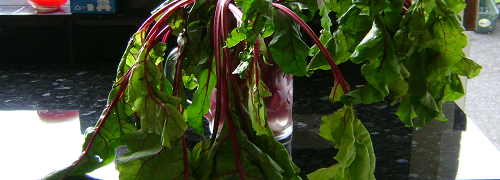 Orecchiette With Beetroot Leaves